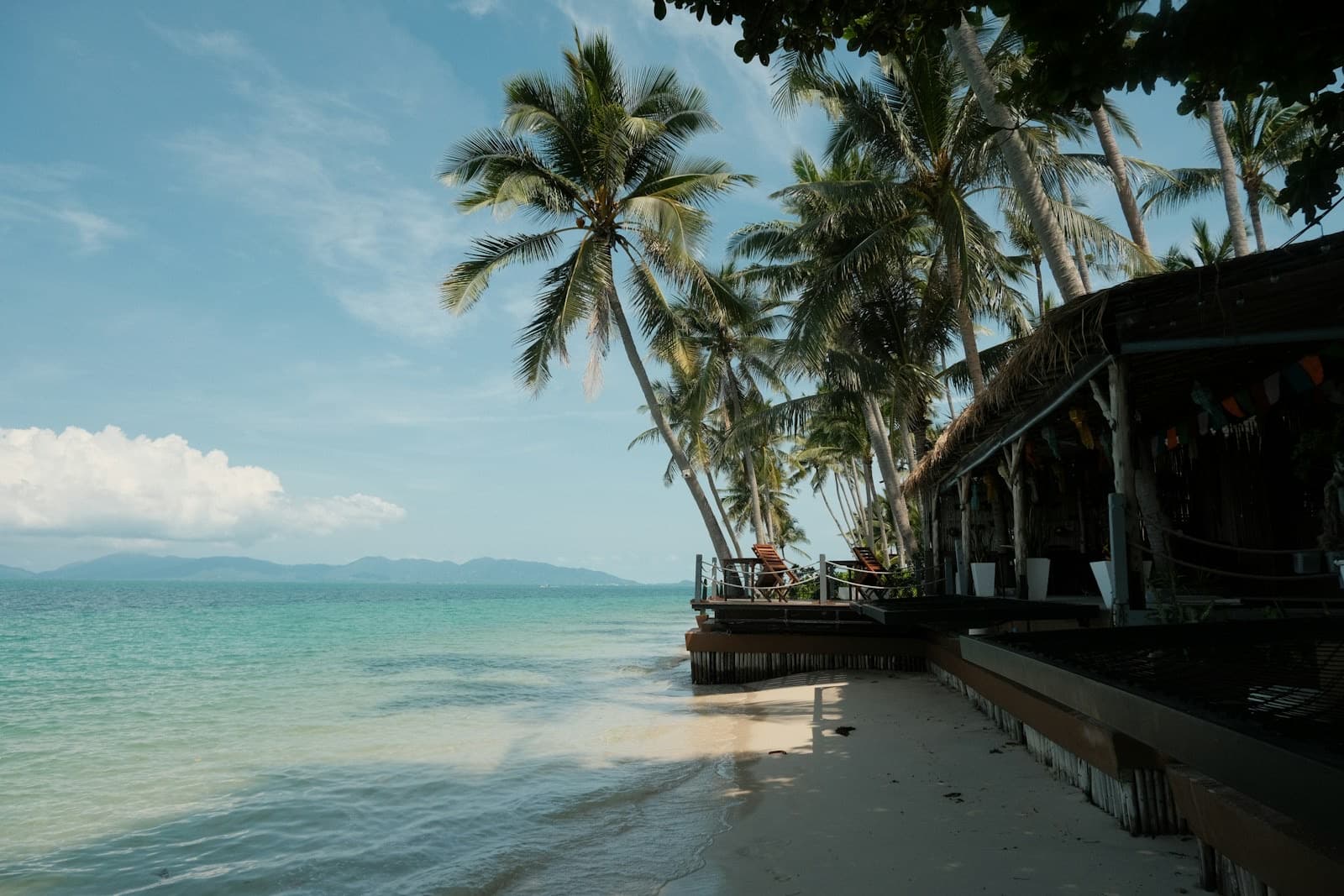 Leaning coconut palms over a white-sand beach and clear turquoise water on Koh Samui